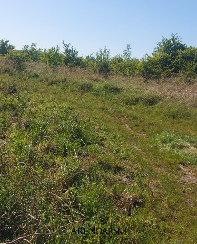 Działka Sprzedaż Kłodawa 8