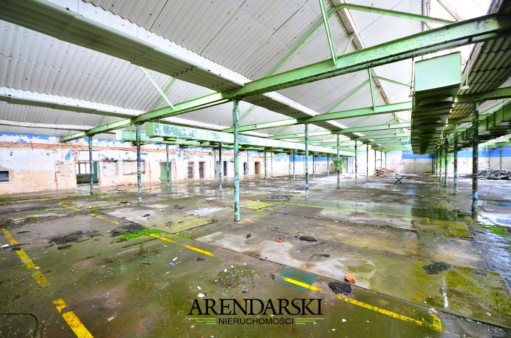 Obiekt Sprzedaż Lubniewice 18