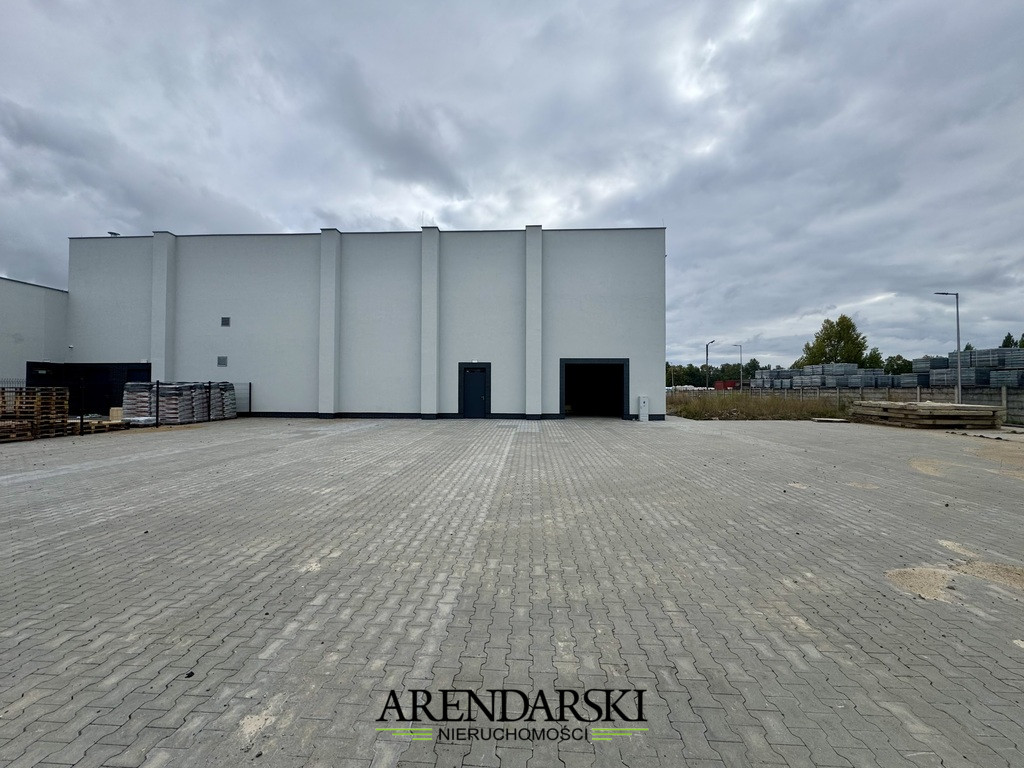Lokal Wynajem Gorzów Wielkopolski 20