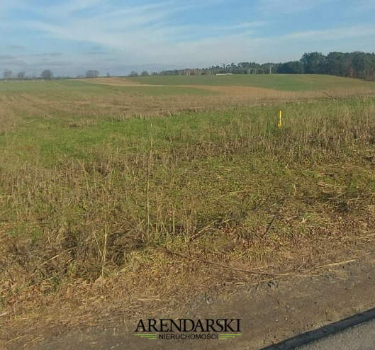 Działka Sprzedaż Santocko 6