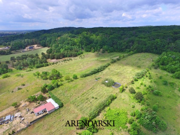 Działka Sprzedaż Bogdaniec