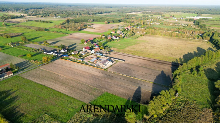 Działka Sprzedaż Ściechów 3