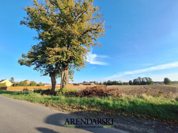 Działka Sprzedaż Ściechów