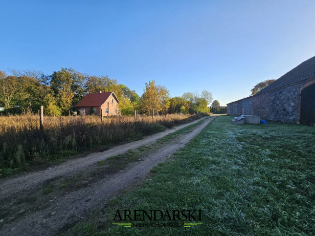 Działka Sprzedaż Trzcinna 2