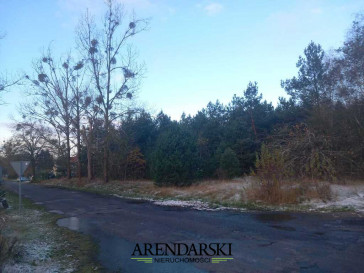 Działka Sprzedaż Trzcinna