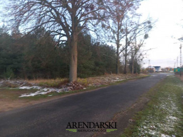 Działka Sprzedaż Trzcinna