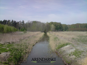 Działka Sprzedaż Dąbrowa