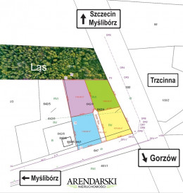 Działka Sprzedaż Trzcinna
