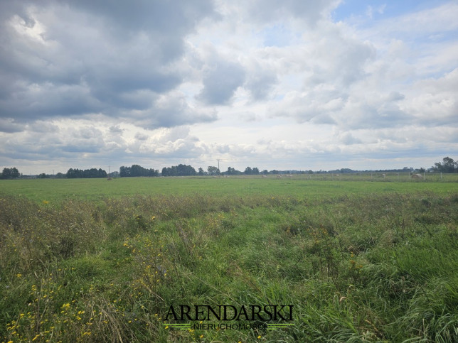 Działka Sprzedaż Prądocin 2