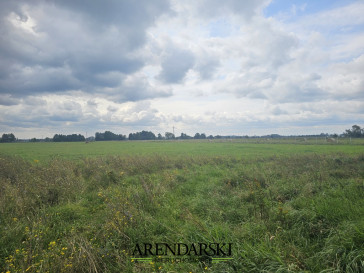 Działka Sprzedaż Prądocin