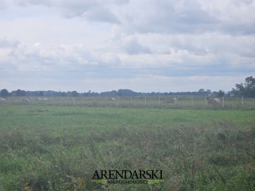 Działka Sprzedaż Prądocin