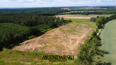 Działka Sprzedaż Baczyna-Kolonia