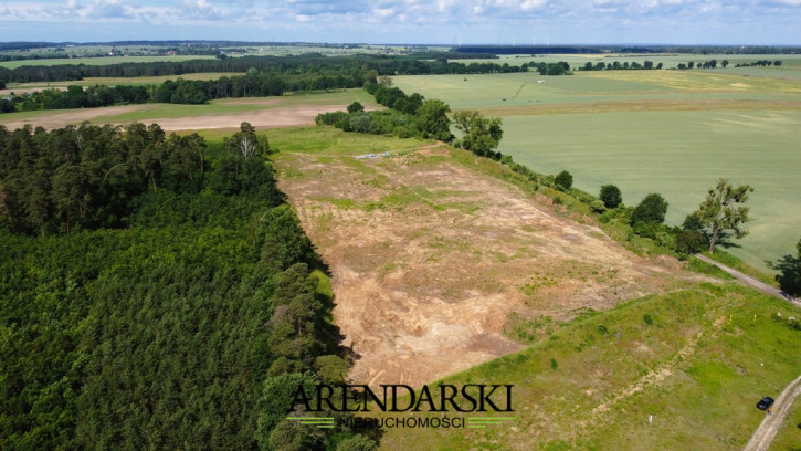 Działka Sprzedaż Baczyna-Kolonia 8