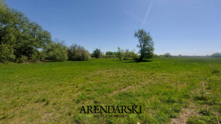 Działka Sprzedaż Bogdaniec 1