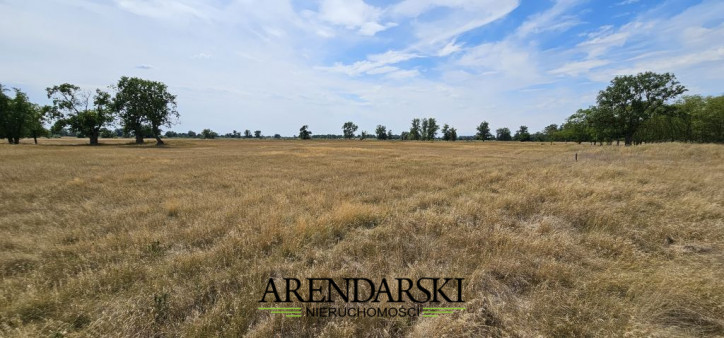 Dom Sprzedaż Kostrzyn Nad Odrą 8