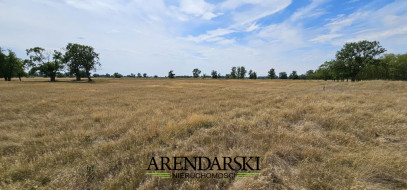 Dom Sprzedaż Kostrzyn Nad Odrą