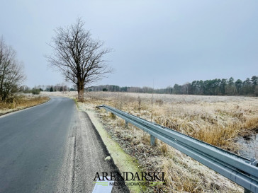 Działka Sprzedaż Dąbrowa