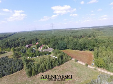 Działka Sprzedaż Kozin