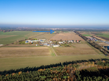 Działka Sprzedaż Skwierzyna Międzyrzecka