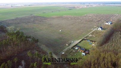 Działka Sprzedaż Janczewo