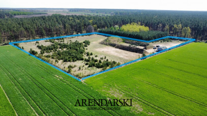 Działka Sprzedaż Płonno