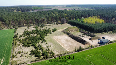 Działka Sprzedaż Płonno