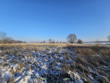 Działka Sprzedaż Ulim Rolna