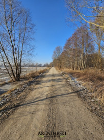 Działka Sprzedaż Ulim Rolna