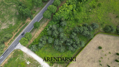 Działka Sprzedaż Różanki