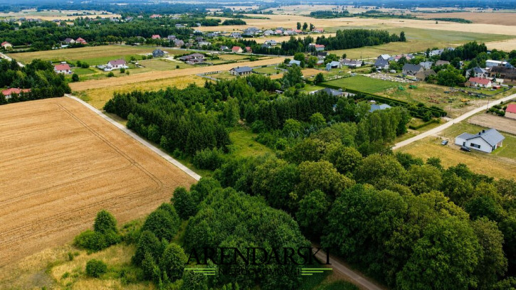 Działka Sprzedaż Gralewo 5