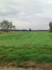 Działka Sprzedaż Ściechów