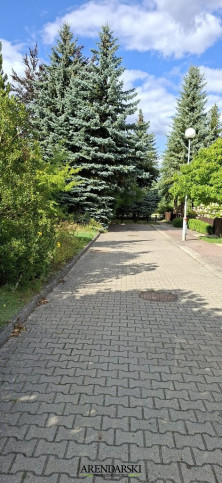 Dom Sprzedaż Gorzów Wielkopolski Górczyn 18