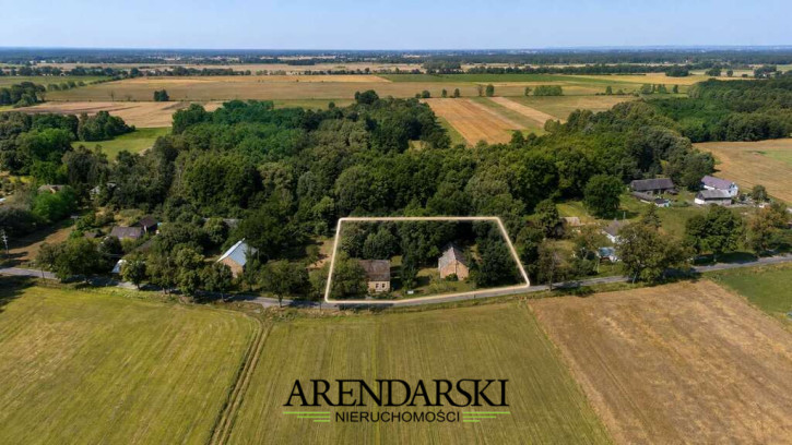 Dom Sprzedaż Gościnowo 19