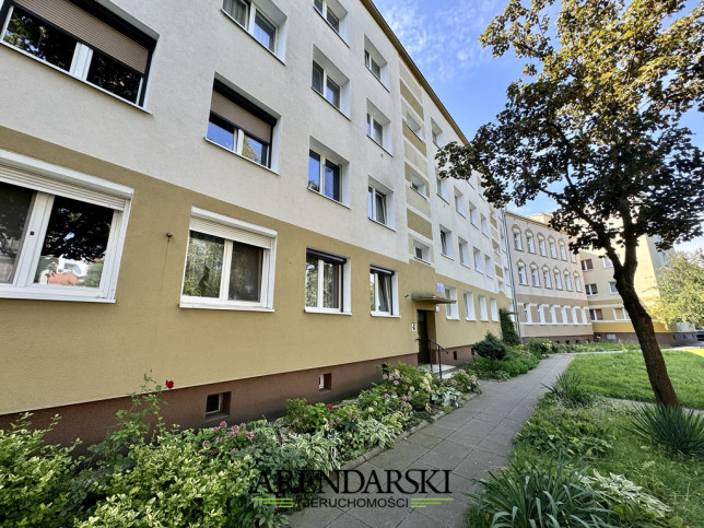 Mieszkanie Wynajem  Centrum 14