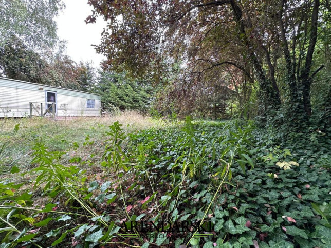 Działka Sprzedaż Sosny 1