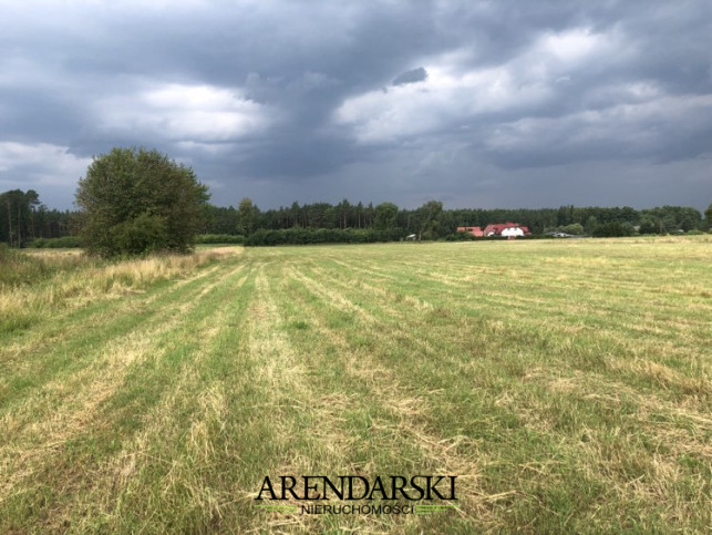 Działka Sprzedaż Danków 6