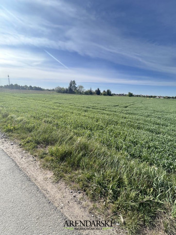 Działka Sprzedaż  Siedlice Skrajna 3