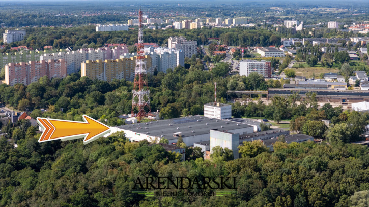 Obiekt Wynajem Gorzów Wielkopolski 2