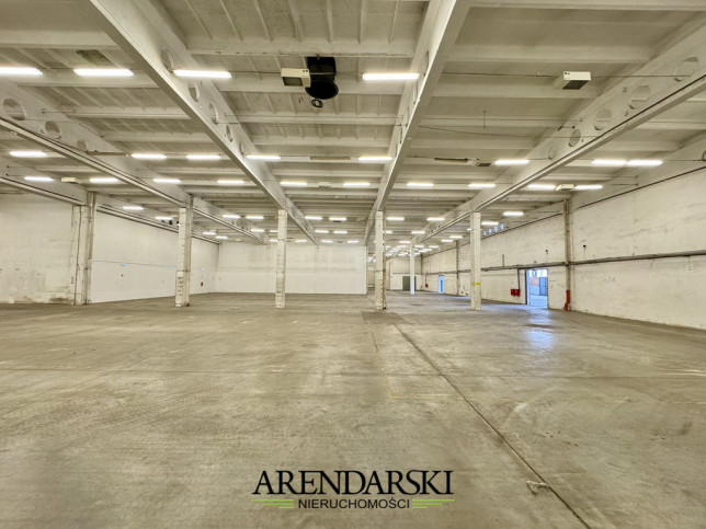 Obiekt Wynajem Gorzów Wielkopolski 7