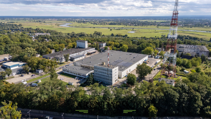 Obiekt Wynajem Gorzów Wielkopolski 5