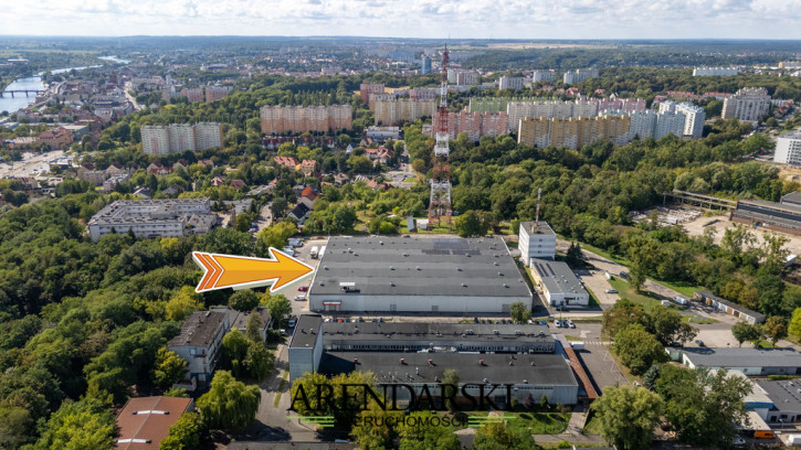 Obiekt Wynajem Gorzów Wielkopolski 4