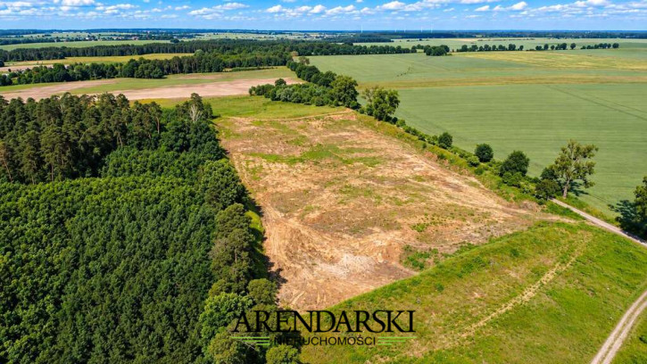 Działka Sprzedaż Baczyna-Kolonia 8