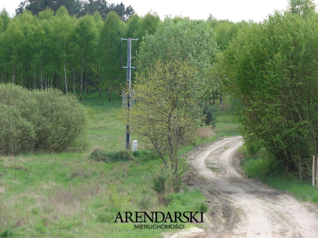 Działka Sprzedaż Siemczyno 5
