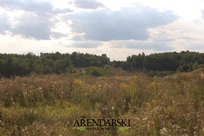 Dom Sprzedaż Gorzów Wielkopolski os. Europejskie