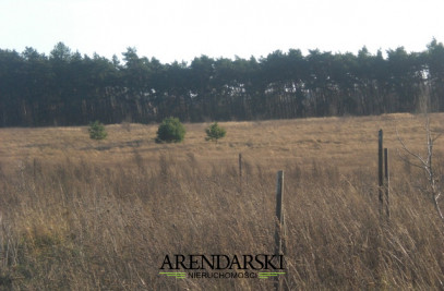 Działka Sprzedaż Pniów