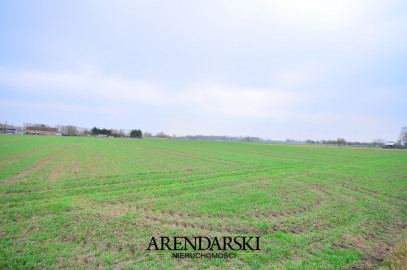 Działka Sprzedaż  Zakanale