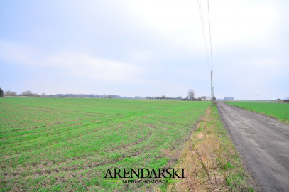 Działka Sprzedaż  Zakanale