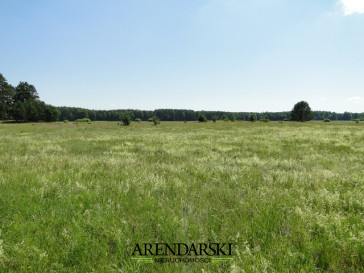 Działka Sprzedaż Łośno