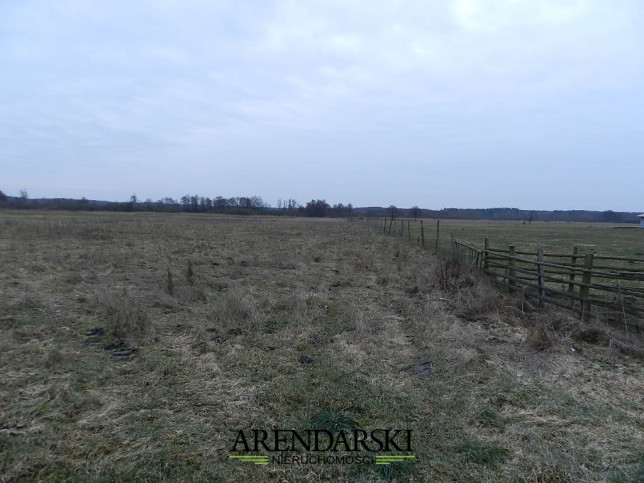 Działka Sprzedaż Ściechów 3