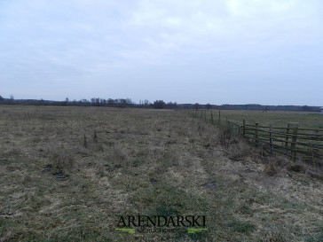 Działka Sprzedaż Ściechów